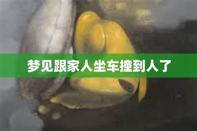 梦见坐车撞到人见血