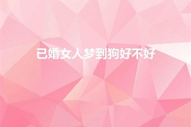 女人梦到狗好不好