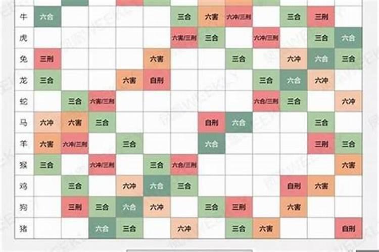 属龙的和属羊相最配、相克