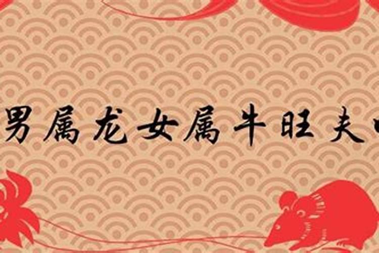 阳历2月22日是什么星座