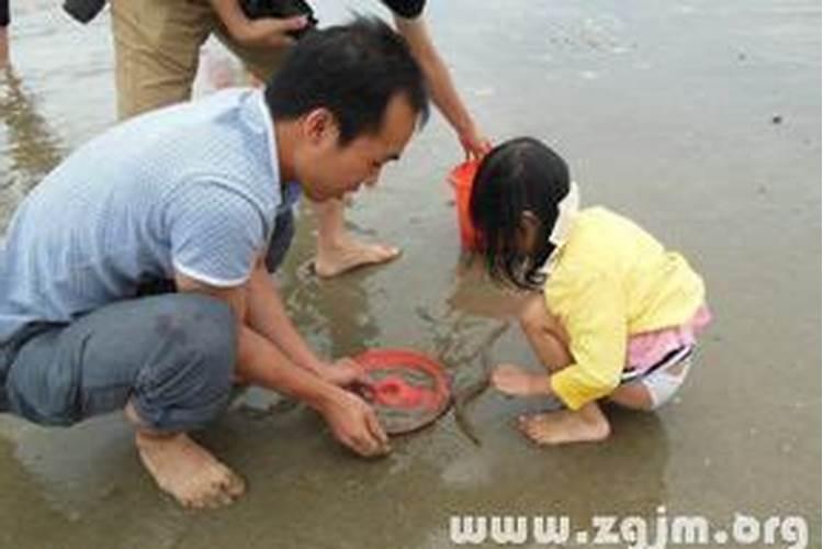 梦见自己捉泥鳅黄鳝什么意思