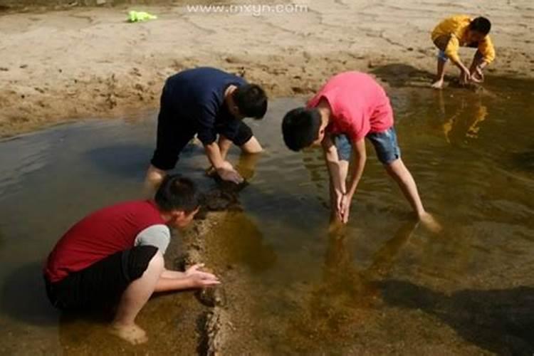 梦见在泥里抓鱼是什么征兆