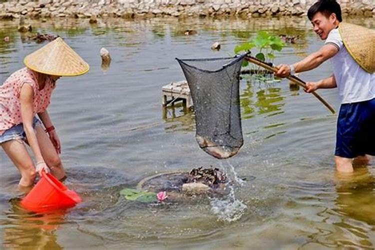 梦见自己到田里抓泥鳅和鱼是什么意思