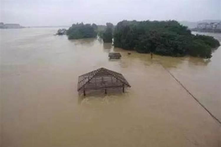 梦见下大雨把房子冲塌了