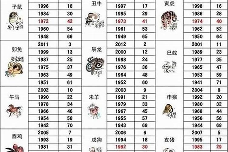 60岁的今年属什么