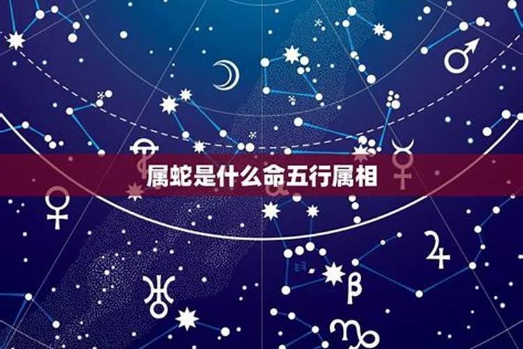 陈小春什么星座