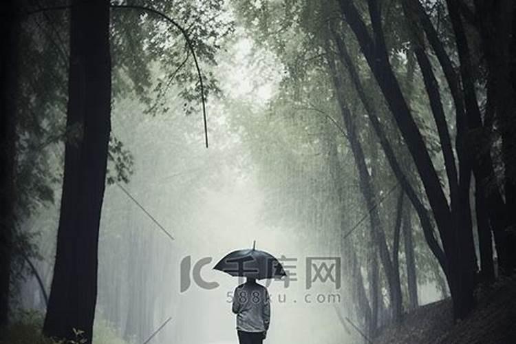 梦到在风雨中行走