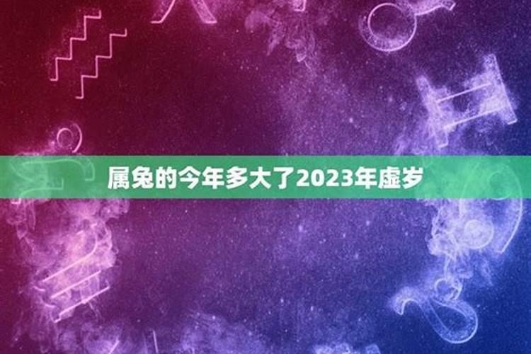 2023年属兔的多大