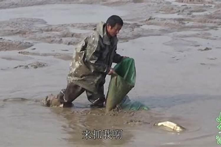 梦见在淤泥里抓泥鳅