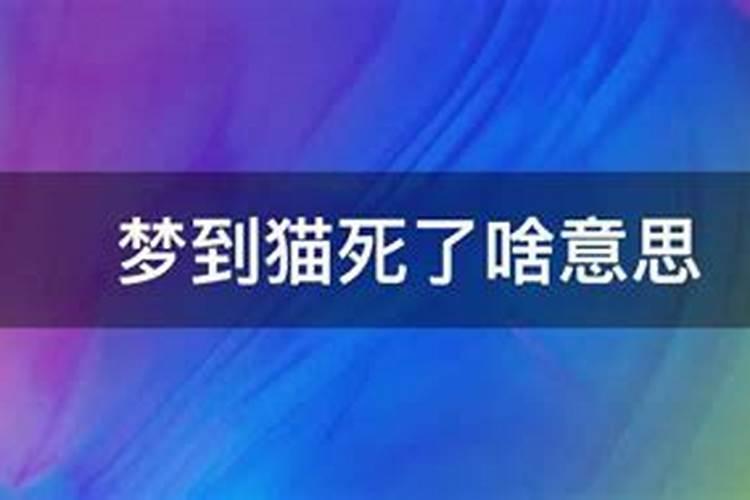 做梦梦见小猫死了又活了