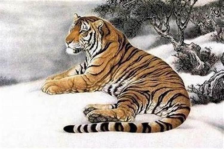 60岁属虎的是几几年的出生