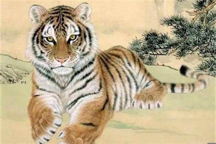 60岁属虎的是哪一年出生的人