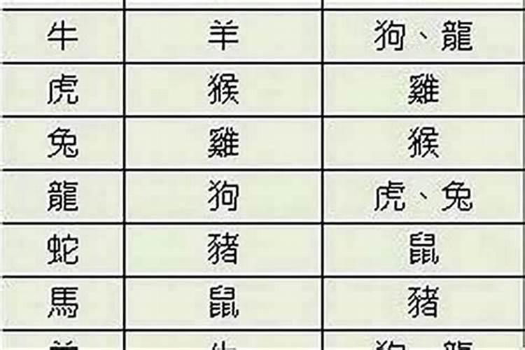 生肖配对可以相信吗