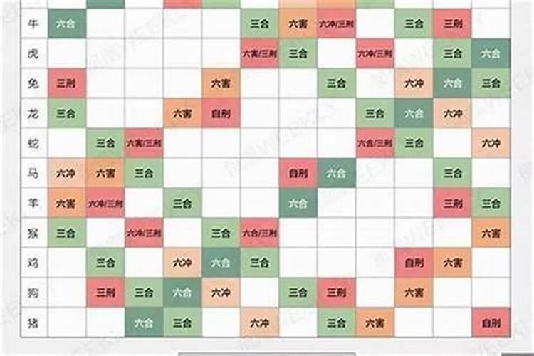 生肖属相配对能相信吗女孩