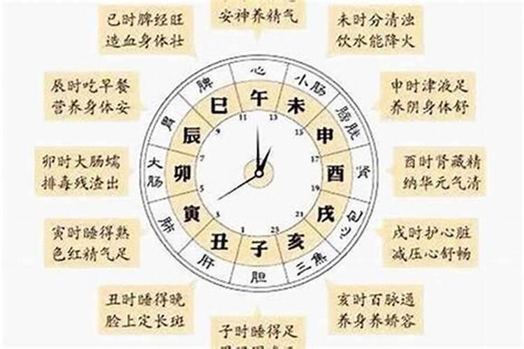 精打细算是什么生肖