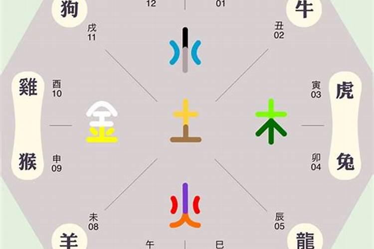 田字在五行中属什么的