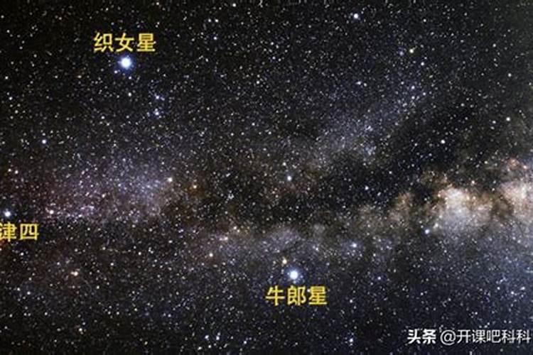 3月6号什么星座