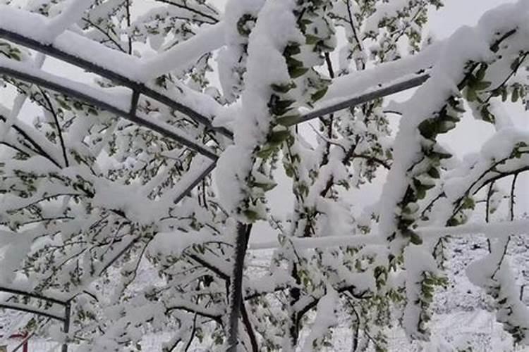 梦见雨雪交加是什么梦