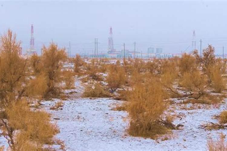 梦见雨雪