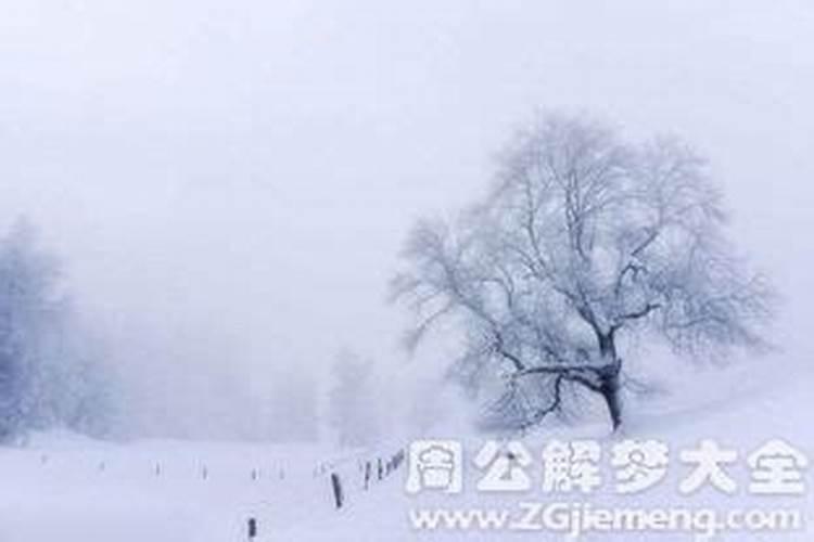 梦见雨水和雪