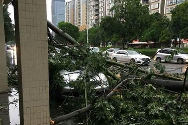 梦见狂风暴雨要来临是什么征兆周公解梦女人