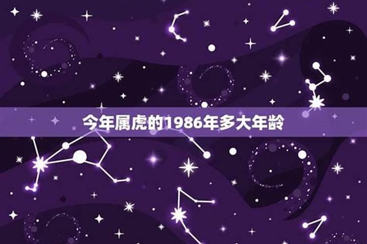 属虎的今年多大了1986年