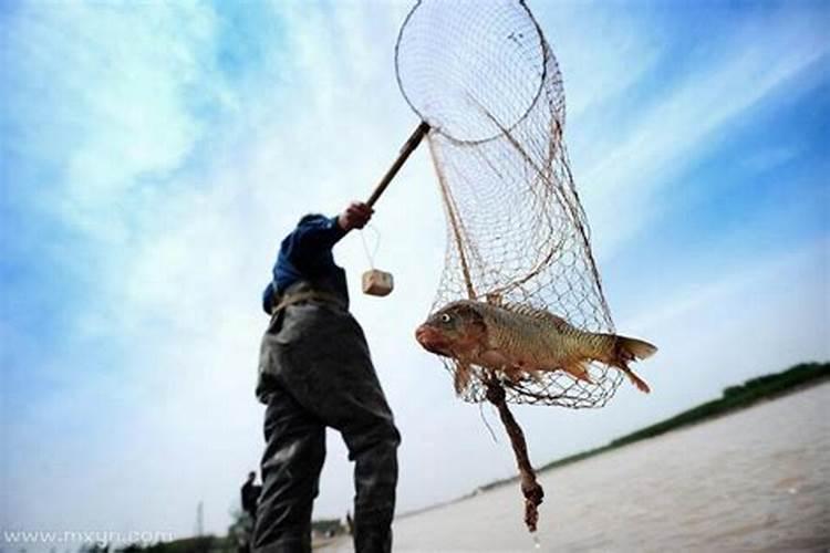 梦到黄泥水里捞鱼什么意思