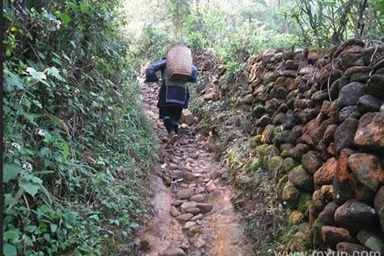 梦见有一段黄泥路特别难走