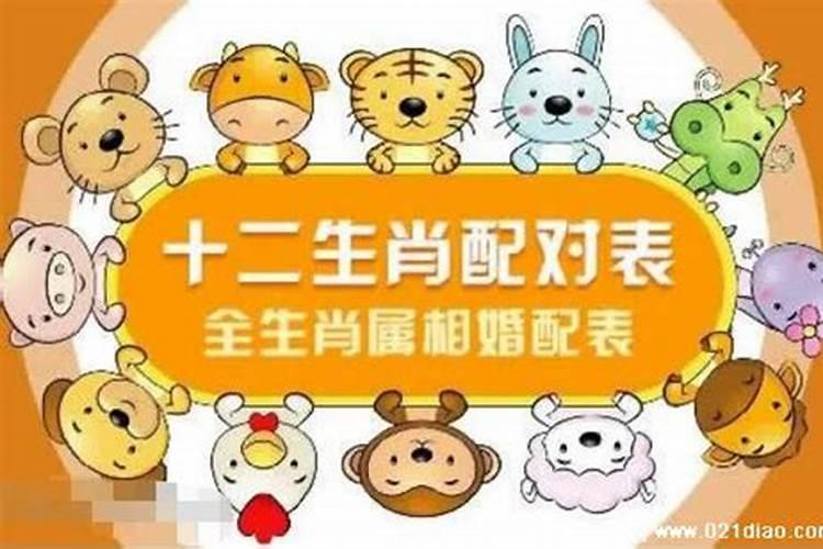 属虎的今年多大了2019