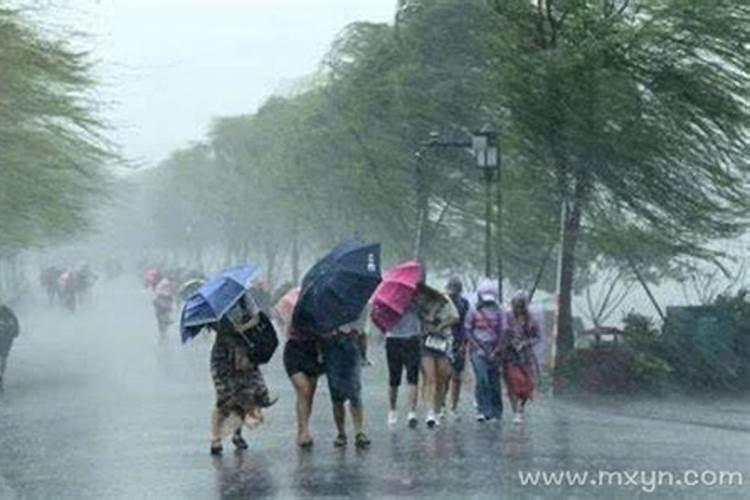 梦见狂风暴雨雷电交加房子摇晃