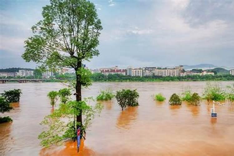 梦见暴风雨涨大水