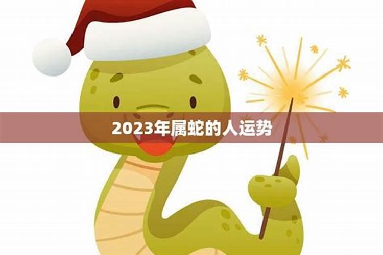 属蛇的2023年运势和财运怎么样