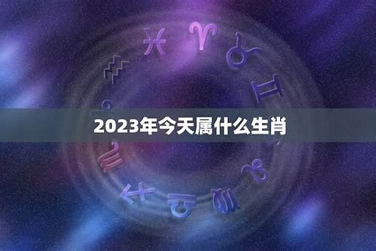 2020今天属什么生肖冲什么黄历