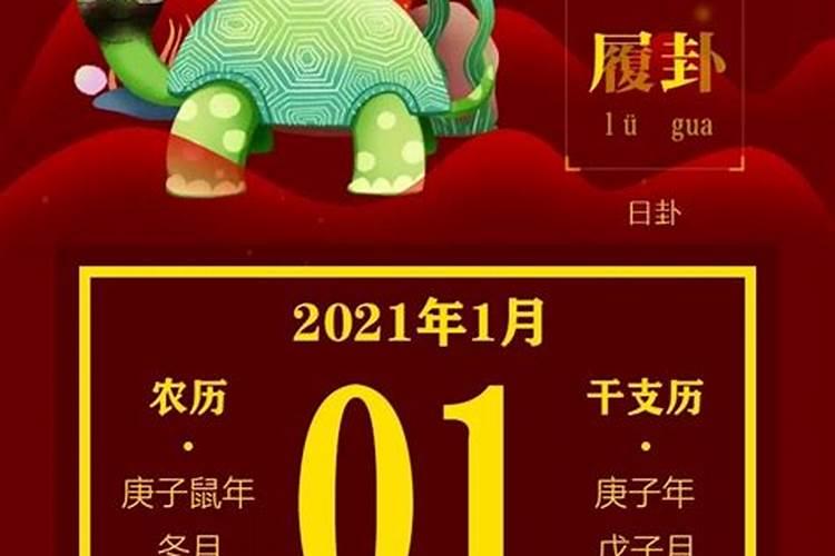 新历2021年1月23号属什么