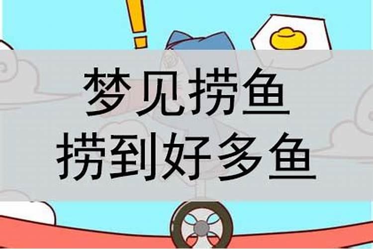 梦见在房间里捞鱼什么预兆