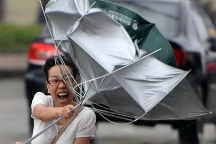 梦见下雨风很大伞吹坏