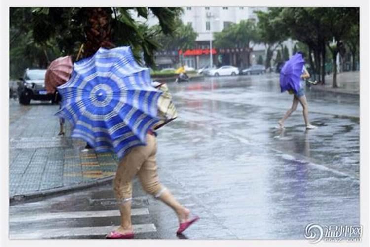 梦见雨下得好大还刮大风