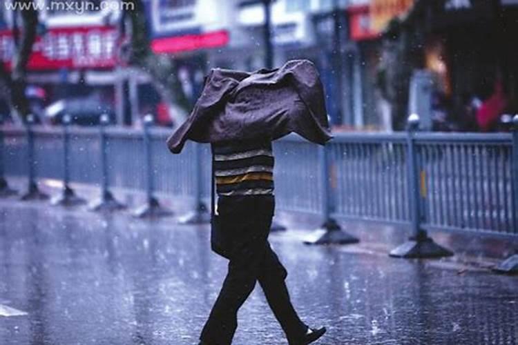 梦到下雨风大