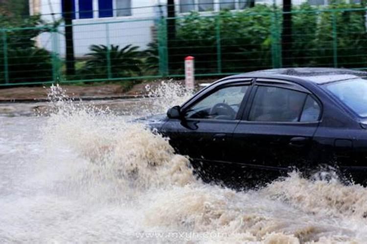 梦见下狂风暴雨发大水