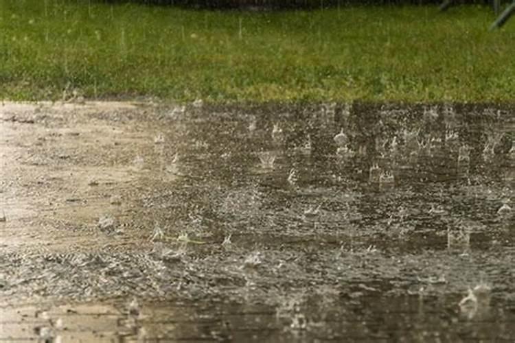 梦见暴雨狂风