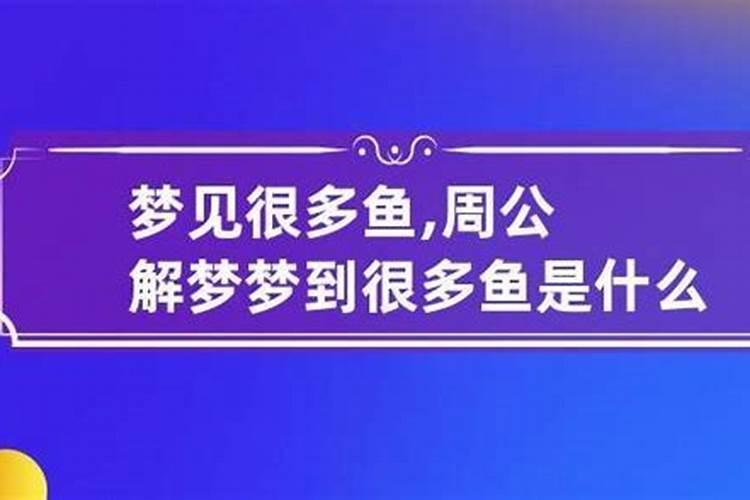 梦见很多鱼是什么意思