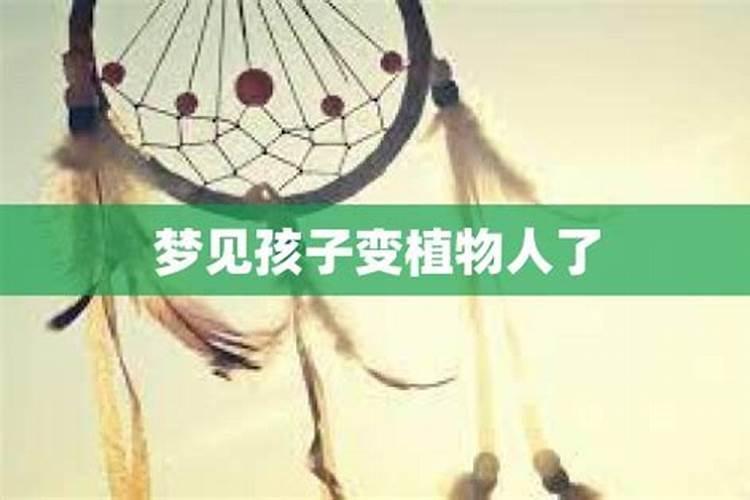 梦见儿子变了一个样