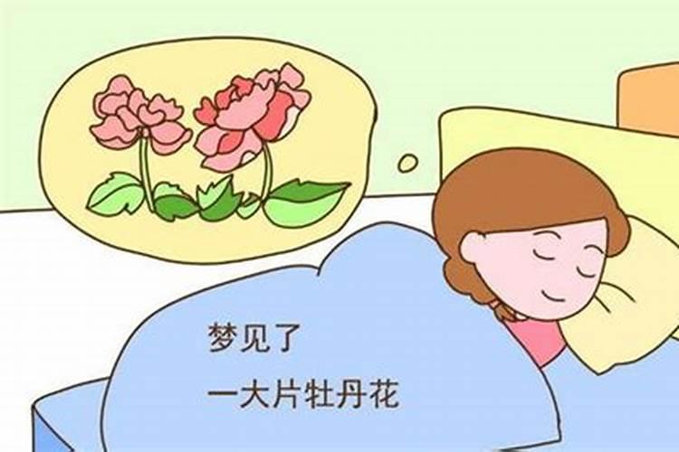 梦见刮大风预示着什么征兆呢女生