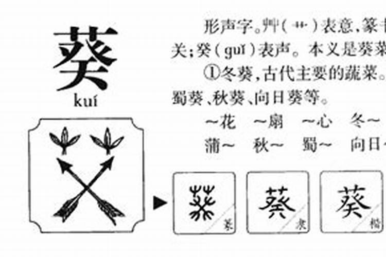 梦见粉条是什么意思