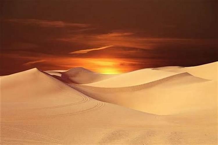 梦见在沙漠上走来走去的路