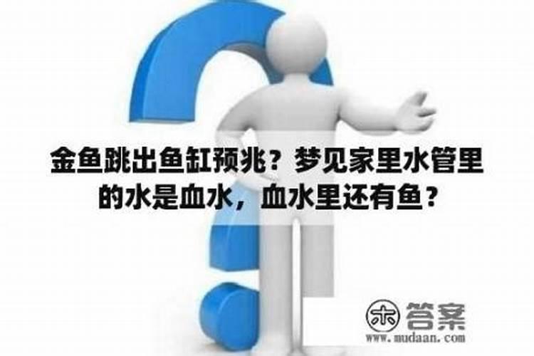 梦见抓鱼放到鱼缸里