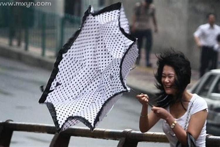 梦到大风大雨雷电交加