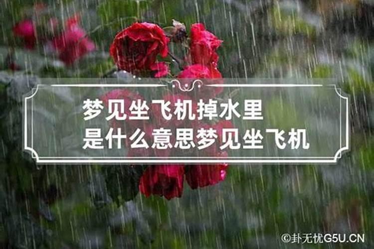 梦见雷雨天坐飞机