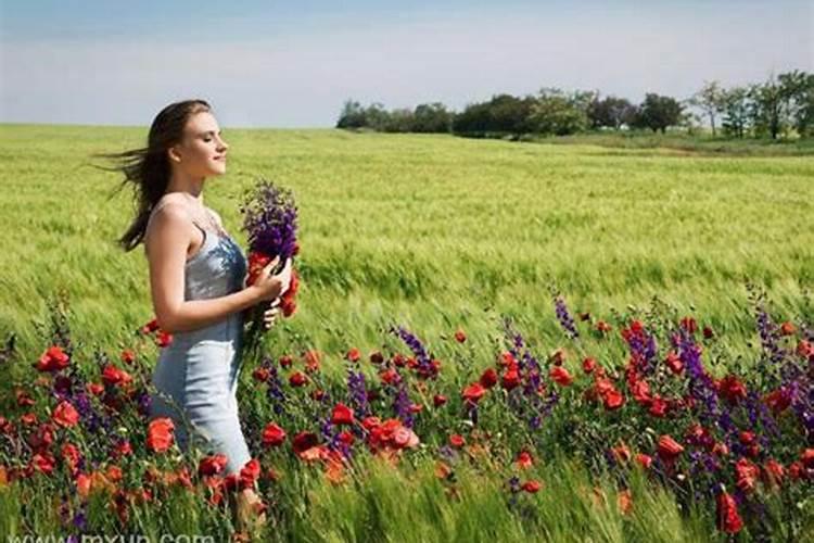 女人梦见采摘好多野鲜花