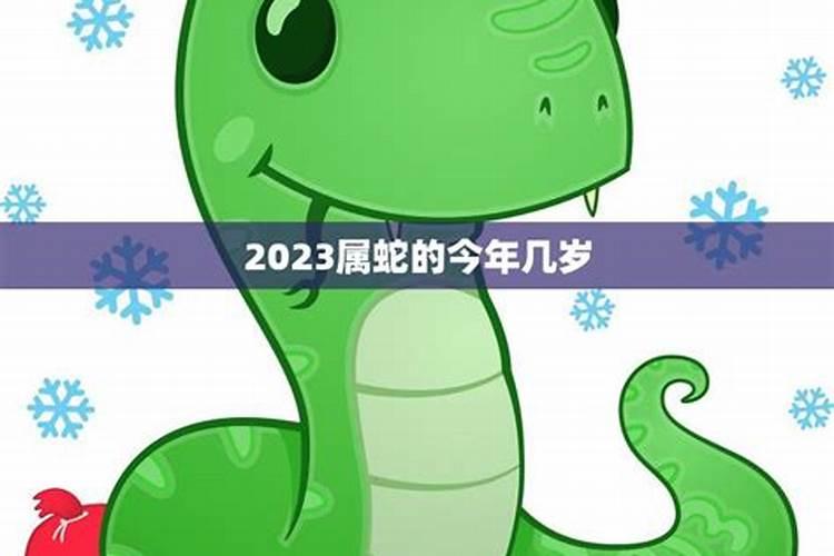 属蛇的今年多少岁2020年出生呢